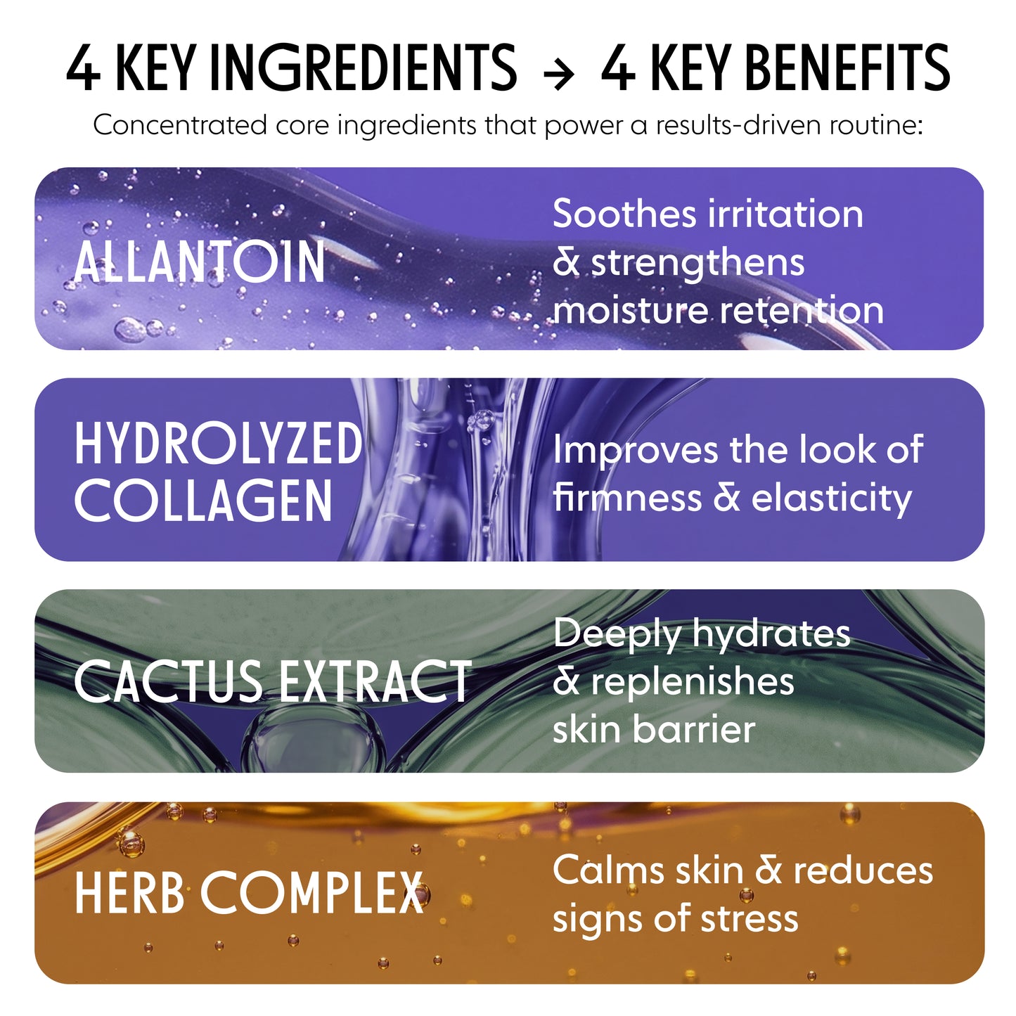An infographic titled '4 KEY INGREDIENTS -> 4 KEY BENEFITS' with four horizontal panels: Allantoin in purple, Hydrolyzed Collagen in blue-purple, Cactus Extract in green-teal, and Herb Complex in amber-brown, each with white text describing skin benefits.